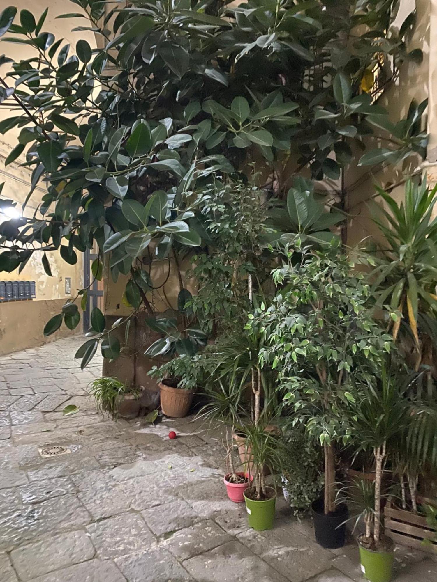 The Paradise House Napoli Ngoại thất bức ảnh